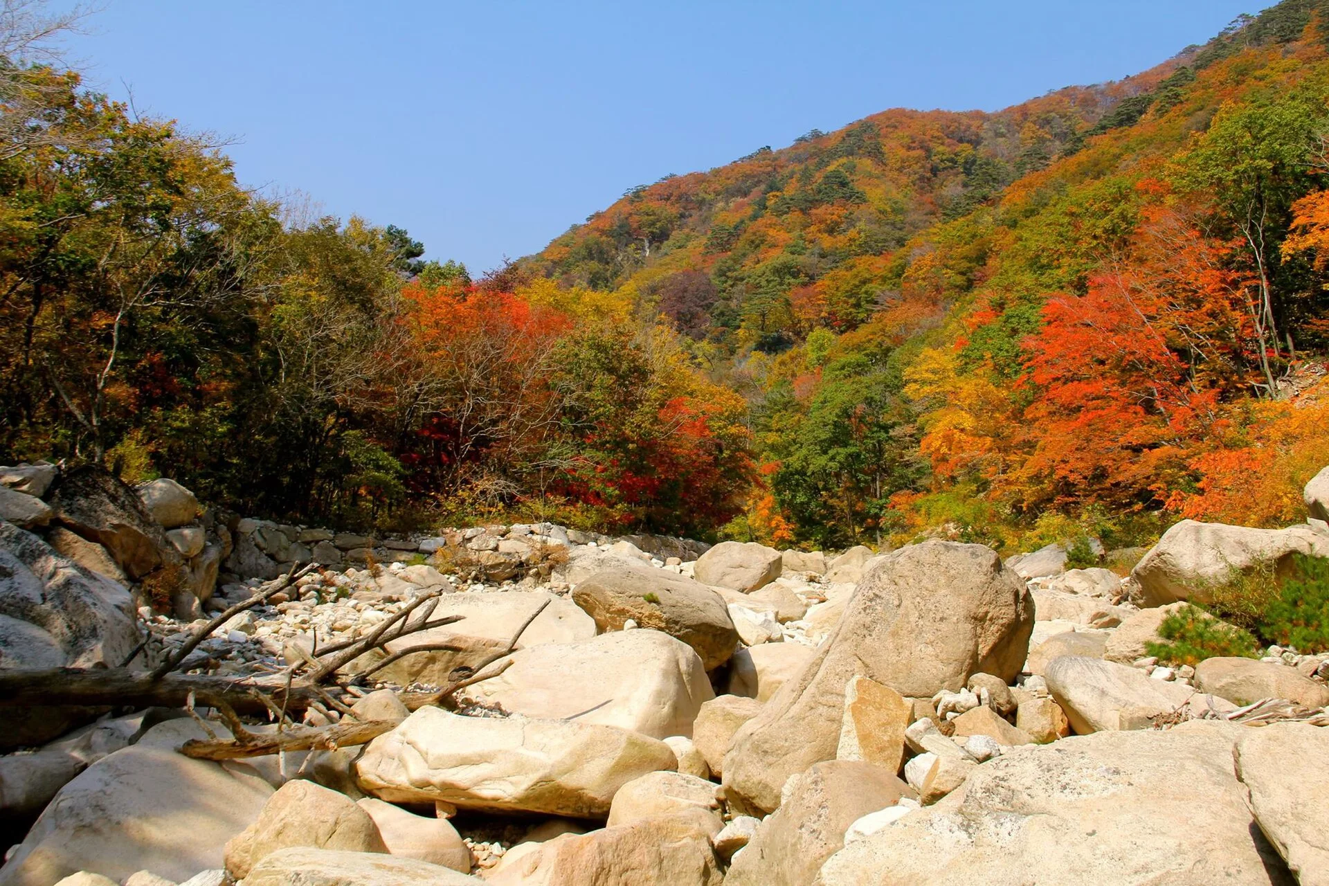 Seoraksan et Gyeongju à l'automne : les feuillages