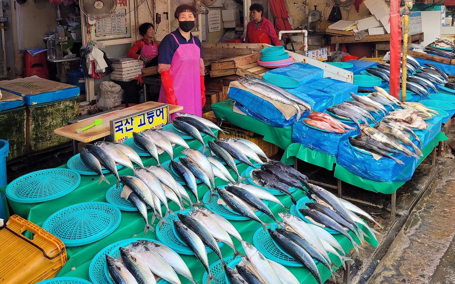 Le marché de Jagalchi : le cœur de la mer à Busan