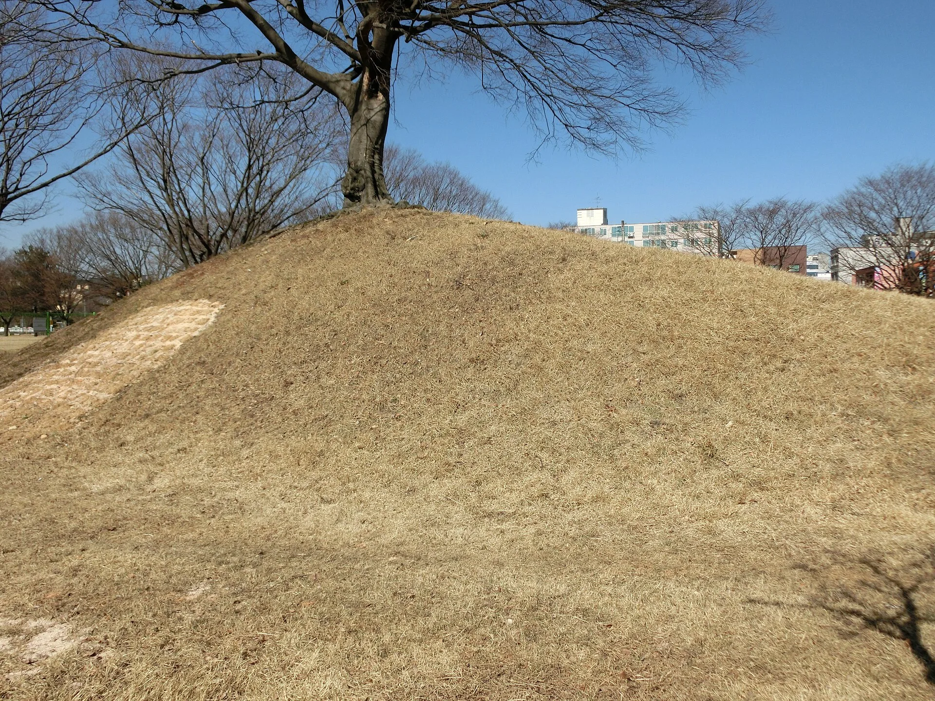 Tumulus herbeux de Gyeongju, ancienne capitale du royaume de Silla